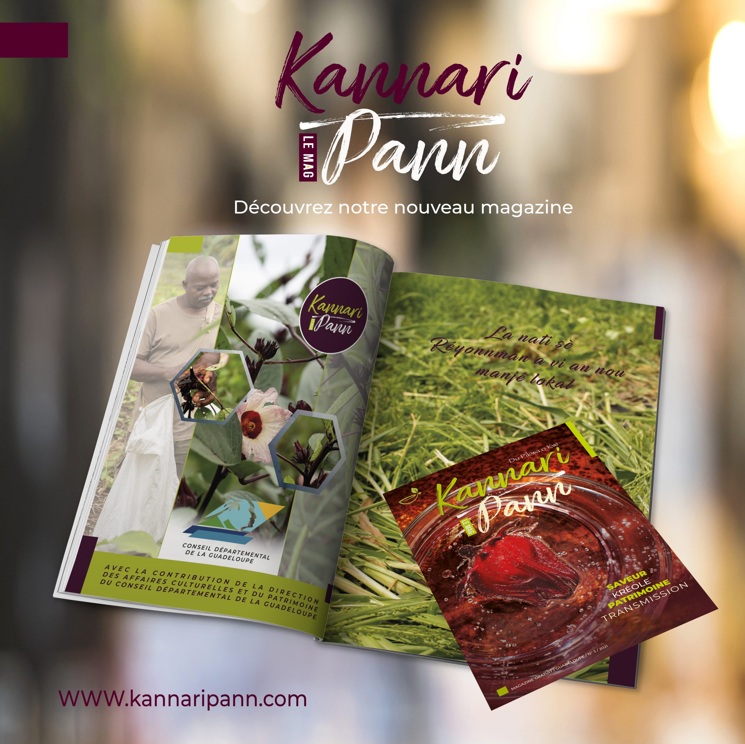 Portfolio contenu digital INSTA conseil départemental #graphisteguadeloupe